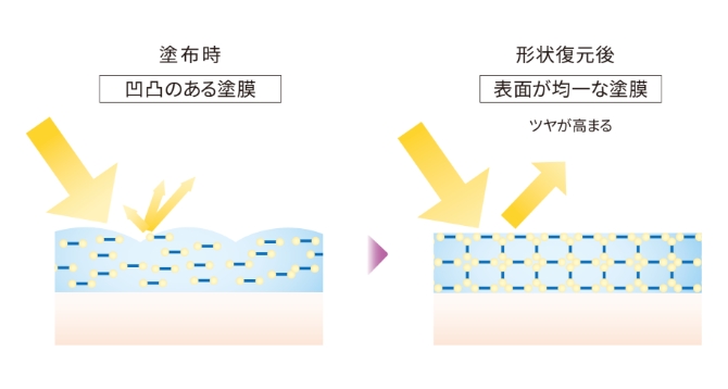 塗布時 凹凸のある塗膜→形状復元後 表面が均一な塗膜