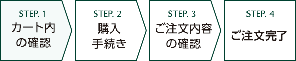 STEP1 J[g̊mF