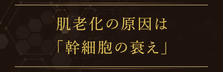 肌老化の原因は「幹細胞の衰え」