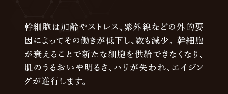 幹細胞は加齢やストレス、紫外線などの外的要因によってその働きが低下し、数も減少。幹細胞が衰えることで新たな細胞を供給できなくなり、肌のうるおいや明るさ、ハリが失われ、エイジングが進行します。