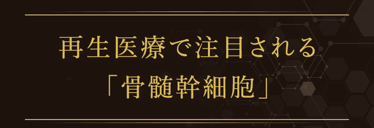 再生医療で注目される「骨髄幹細胞」