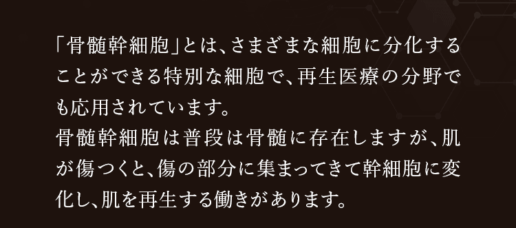 「骨髄幹細胞」とは、さまざまな細胞に分化することができる特別な細胞で、再生医療の分野でも応用されています。骨髄幹細胞は普段は骨髄に存在しますが、肌が傷つくと、傷の部分に集まってきて幹細胞に変化し、肌を再生する働きがあります。