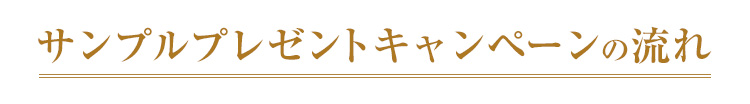 サンプルプレゼントキャンペーンの流れ