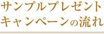 サンプルプレゼントキャンペーンの流れ