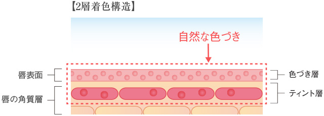 イメージ図