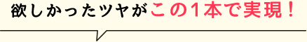 欲しかったツヤがこの1本で実現！