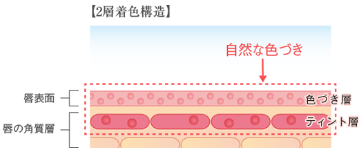 イメージ図