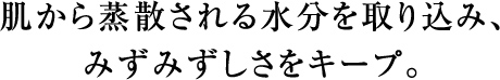 肌から蒸散される水分を取り込み、みずみずしさをキープ。