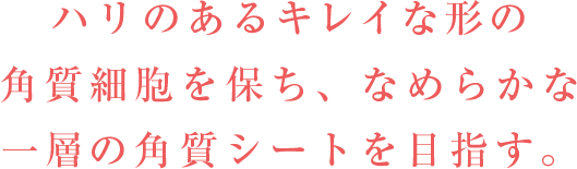 ハリのあるキレイな形の角質細胞へ導き､なめらかな一層の角質シートを形成｡