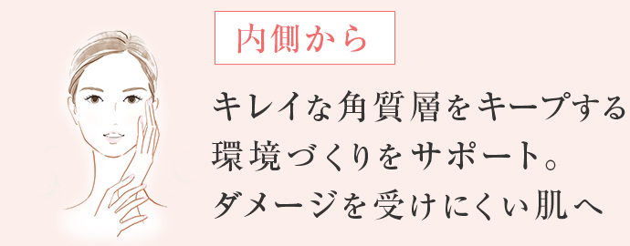 キレイな角質層づくりをサポートしてダメージを受けにくい肌へ