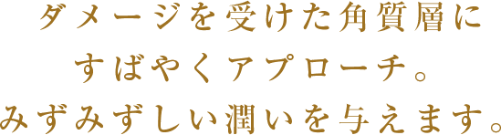 ダメージを受けた角質層にすばやくアプローチ｡みずみずしい潤いを与えます｡