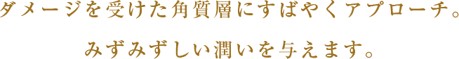 ダメージを受けた角質層にすばやくアプローチ｡みずみずしい潤いを与えます｡