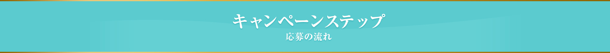 キャンペーンステップ