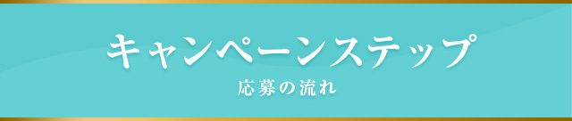 キャンペーンステップ