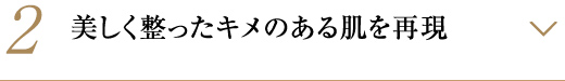 美しく整ったキメのある肌を再現