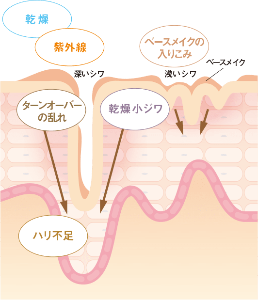 多角的なアプローチで気になるサインを定着させない「目もとケア」を！