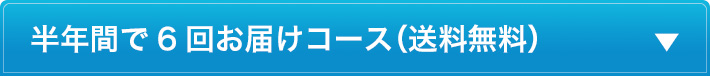 半年間で6回お届けコース（送料無料）