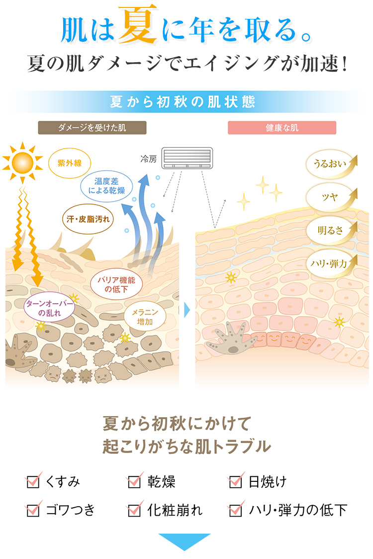 肌は夏に年を取る。夏の肌ダメージでエイジングが加速！
