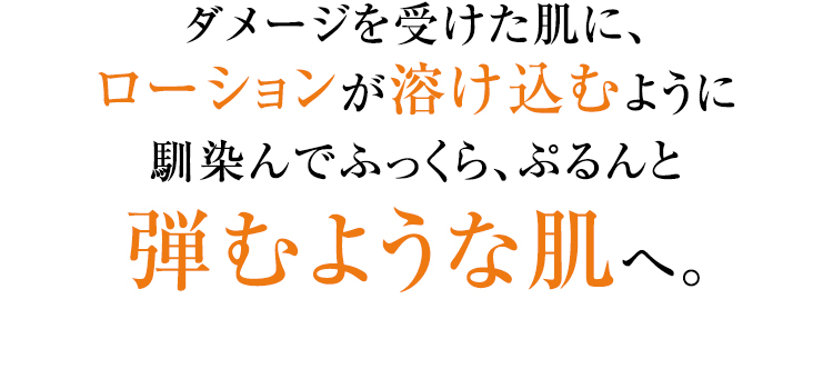 ダメージを受けた肌に、ローションが溶け込むように馴染んで、ふっくら、ぷるんと弾むような肌へ。