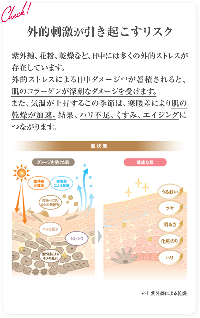 外的刺激が引き起こすリスク 紫外線、花粉、乾燥など、日中には多くの外的ストレスが存在しています。外的ストレスによる日中ダメージ※1が蓄積されると、肌のコラーゲンが深刻なダメージを受けます。また、気温が上昇するこの季節は、寒暖差により肌の乾燥が加速。結果、ハリ不足、くすみ、エイジングにつながります。 ※1 紫外線による乾燥