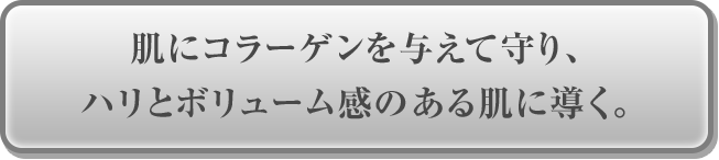肌にコラーゲンを与えて守り、ハリとボリューム感のある肌に導く。