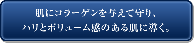 肌にコラーゲンを与えて守り、ハリとボリューム感のある肌に導く。