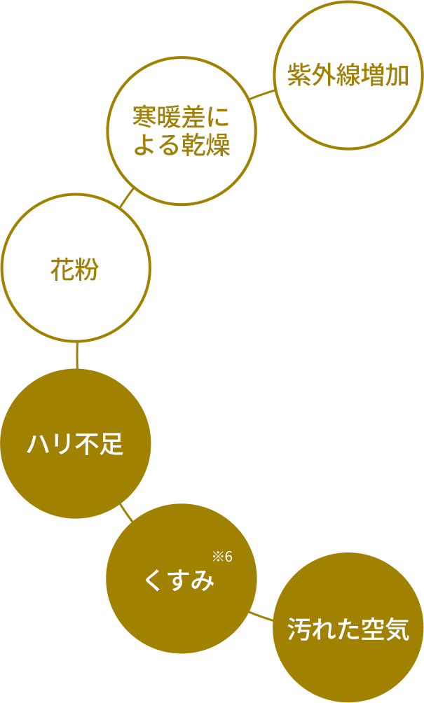 紫外線増加 寒暖差による乾燥 花粉 ハリ不足※6 くすみ 汚れた空気