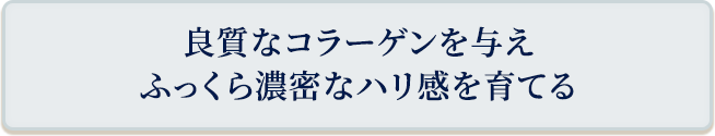 良質なコラーゲンを与えふっくら濃密なハリ感を育てる