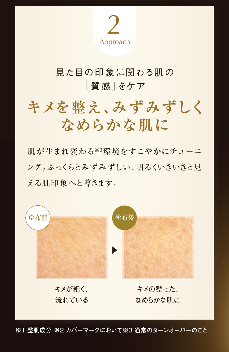 Approach2 見た目の印象に関わる肌の「質感」をケア キメを整え、みずみずしくなめらかな肌に 肌が生まれ変わる※3環境をすこやかにチューニング。ふっくらとみずみずしい、明るくいきいきと見える肌印象へと導きます。 キメが粗く、流れている キメの整った、なめらかな肌に※1 整肌成分 ※2 カバーマークにおいて※3 通常のターンオーバーのこと
