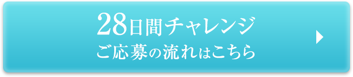 28日間チャレンジご応募の流れはこちら