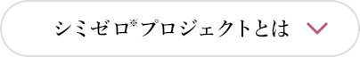 シミゼロ※プロジェクトとは