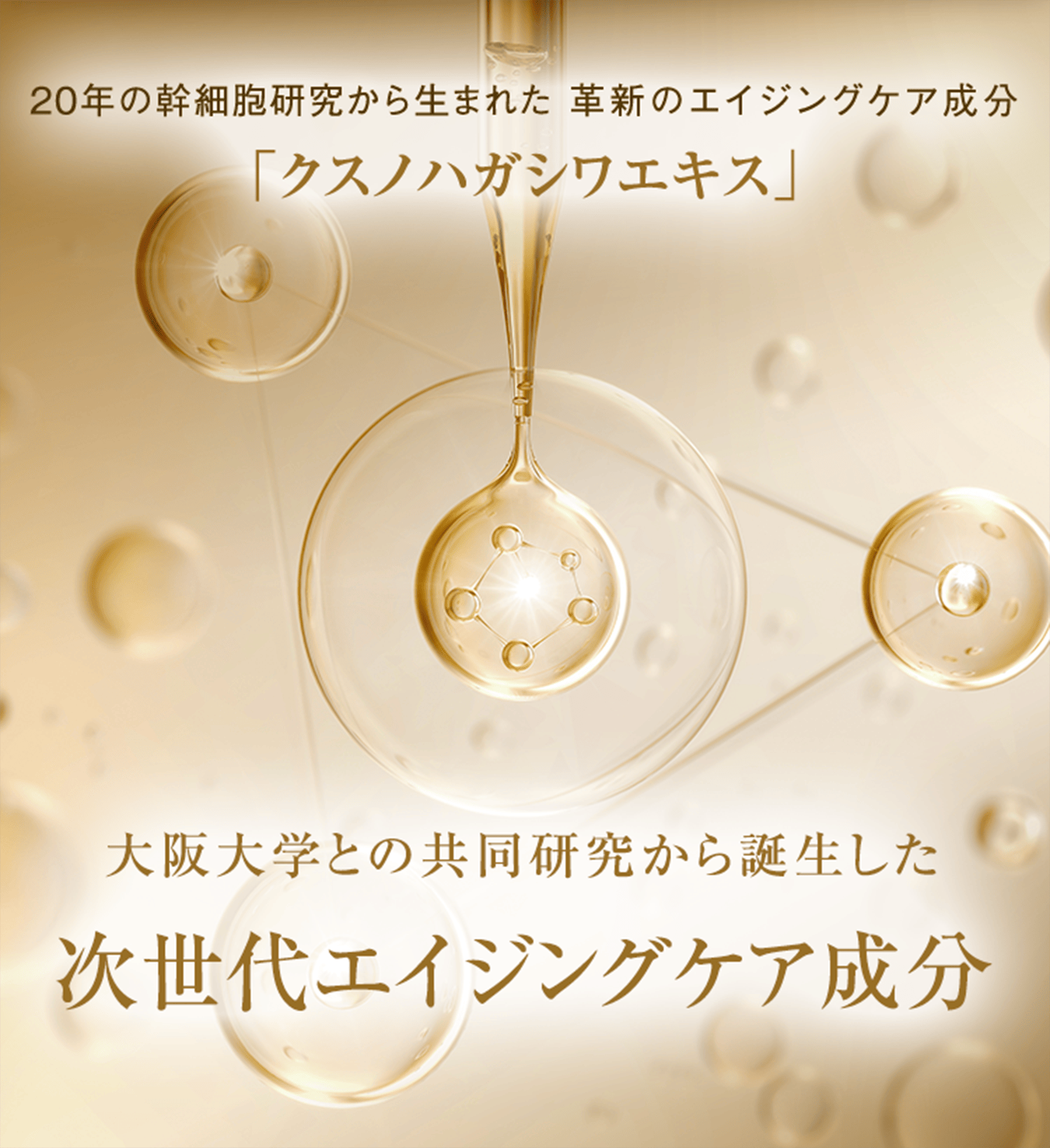 20年の幹細胞研究から生まれた 革新のエイジングケア成分「クスノハガシワエキス」大阪大学との共同研究から誕生した次世代エイジングケア成分