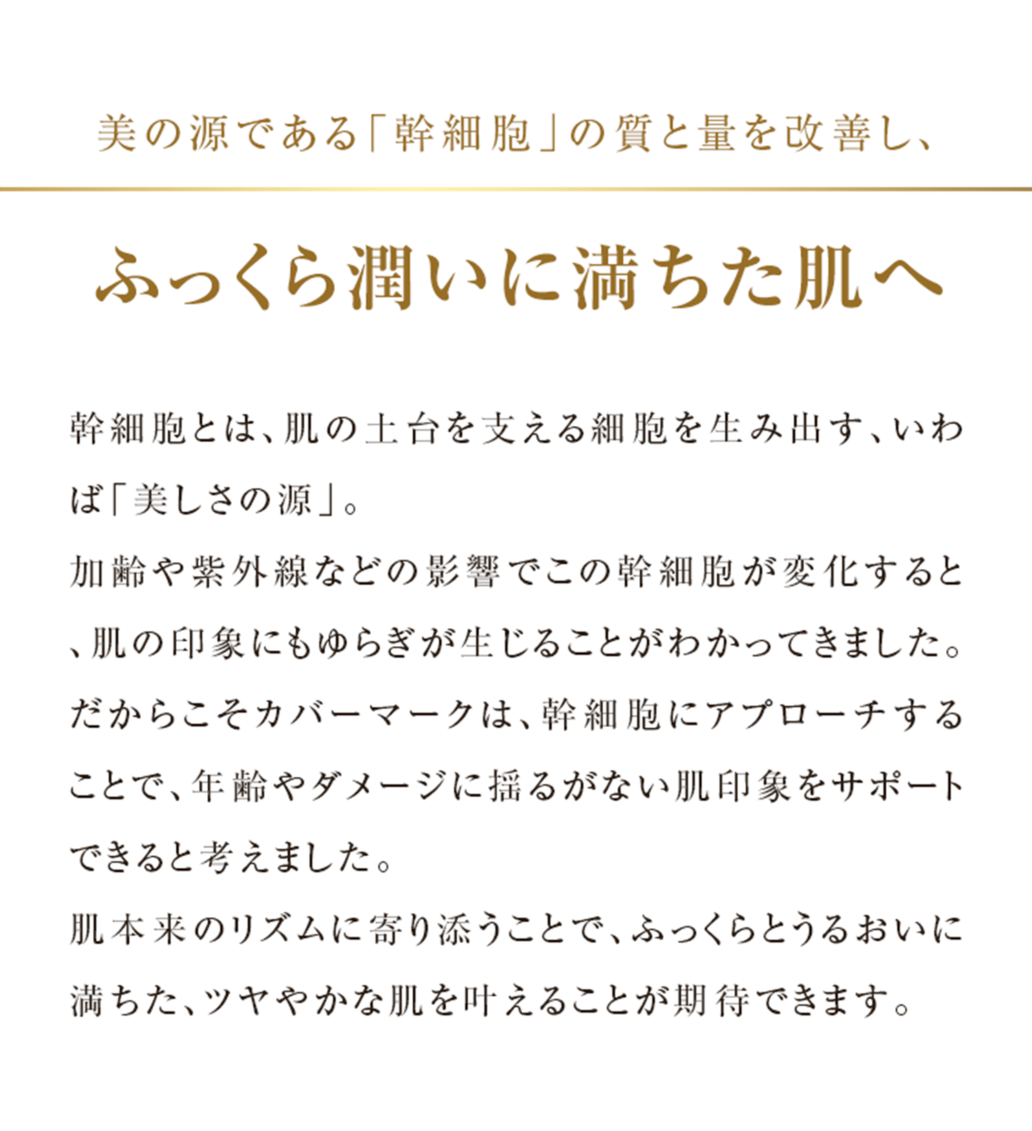 美の源である「幹細胞」の質と量を改善し、ふっくら潤いに満ちた肌へ 幹細胞とは、肌の土台を支える細胞を生み出す、いわば「美しさの源」。 加齢や紫外線などの影響でこの幹細胞が変化すると、肌の印象にもゆらぎが生じることがわかってきました。 だからこそカバーマークは、幹細胞にアプローチすることで、年齢やダメージに揺るがない肌印象をサポートできると考えました。 肌本来のリズムに寄り添うことで、ふっくらとうるおいに満ちた、ツヤやかな肌を叶えることが期待できます。