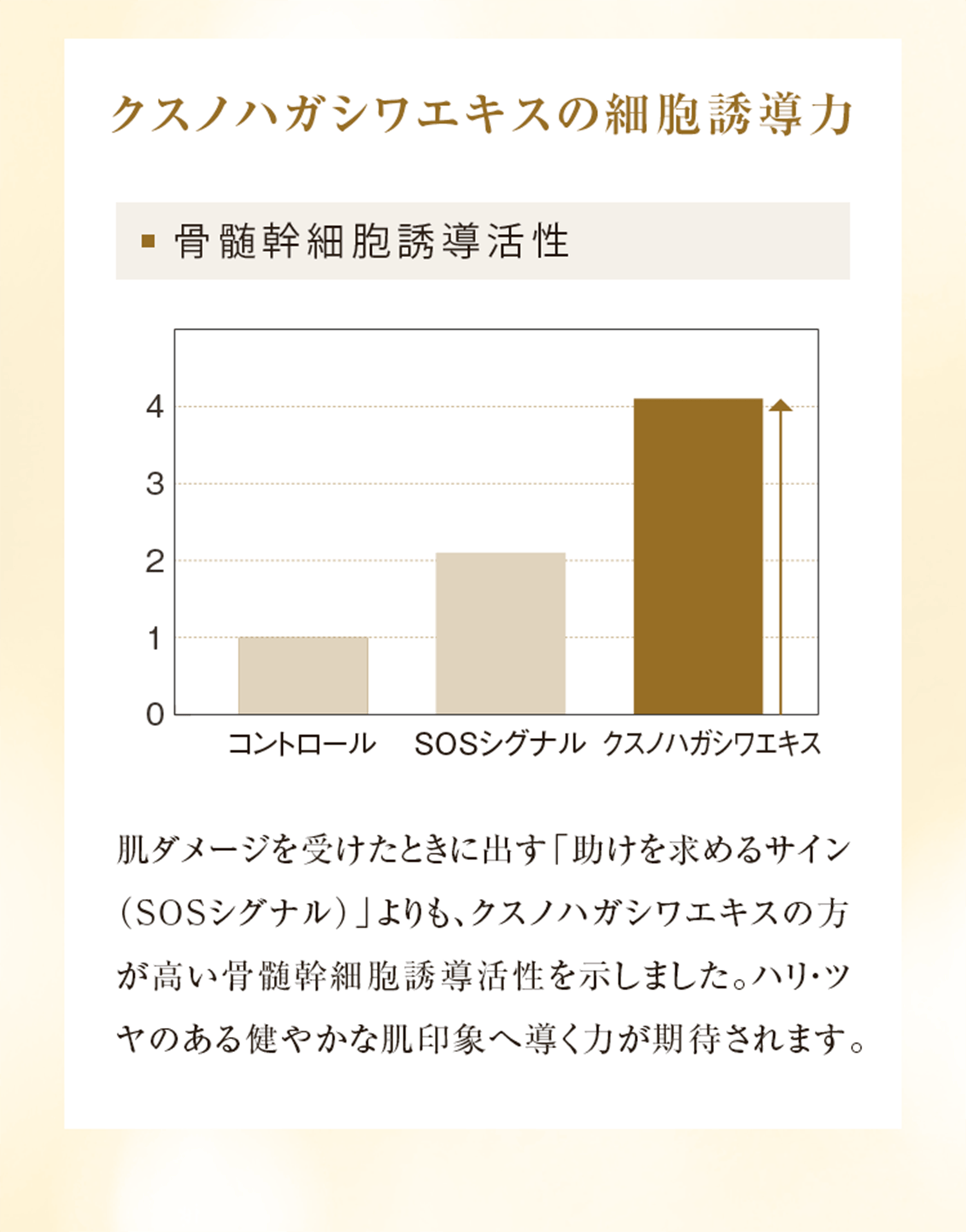 クスノハガシワエキスの細胞誘導力 骨髄幹細胞誘導活性 肌ダメージを受けたときに出す「助けを求めるサイン（SOSシグナル）」よりも、クスノハガシワエキスの方が高い骨髄幹細胞誘導活性を示しました。ハリ・ツヤのある健やかな肌印象へ導く力が期待されます。