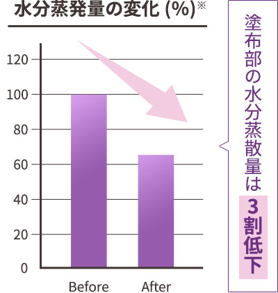 水分蒸発量の変化