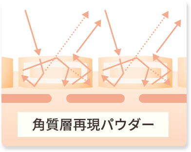 角質層再現パウダーの図