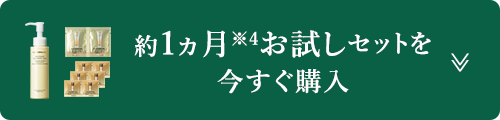 約1ヶ月お試しセットを今すぐ購入