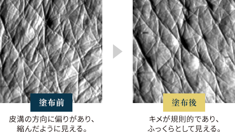 hzOƓhz̉摜