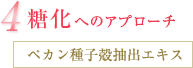4.糖化へのアプローチ ［ペカン種子殻抽出エキス］