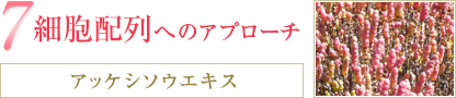7.細胞配列へのアプローチ ［アッケシソウエキス］