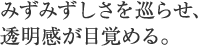 みずみずしさを巡らせ、透明感が目覚める。