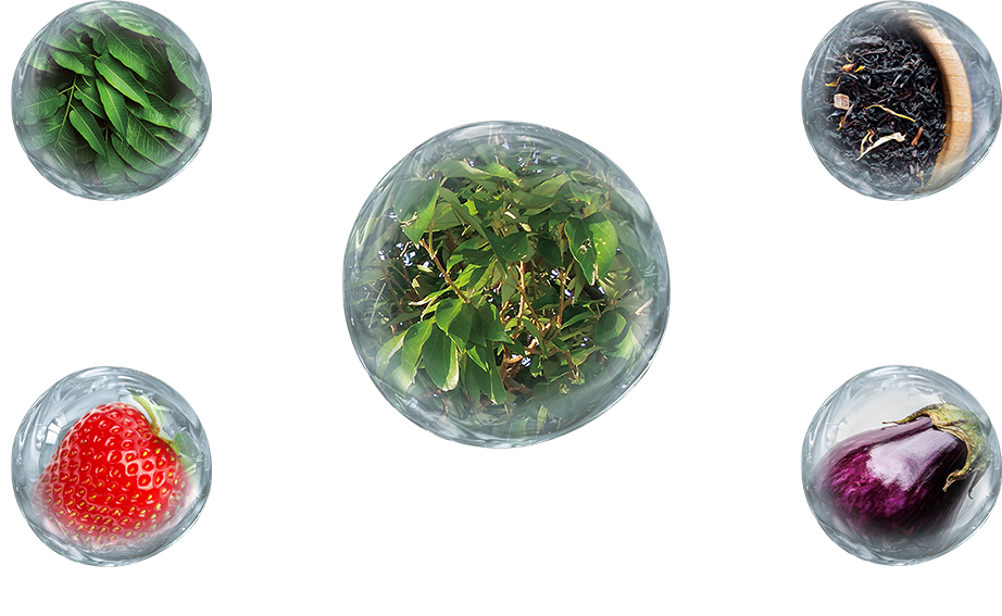 美容液｜セルアドバンスト セラム WS - カバーマーク 公式オンライン
