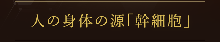 人の身体の源「幹細胞」