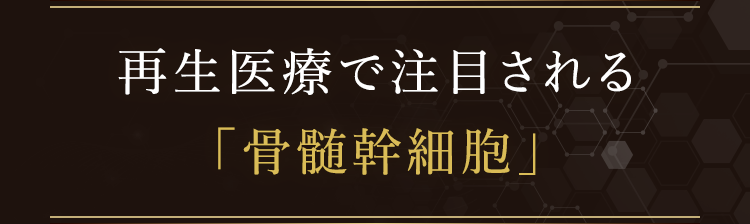再生医療で注目される「骨髄幹細胞」