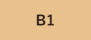 B1